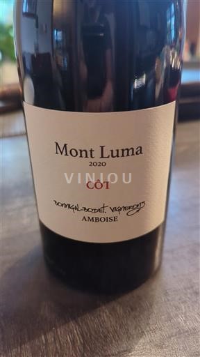 Valle della Loira Touraine-Amboise Romain Bouët Vigneron Mont Luma 2020