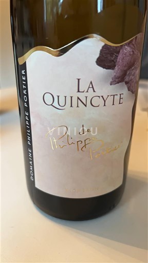 Loire-dalen Quincy Domaine Philippe Portier La Quincÿte 2022
