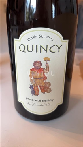 Thung lũng sông Loire Quincy Domaine Tremblay Sucellus Không niên vụ