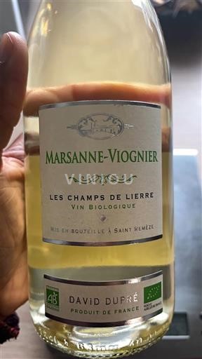 Provence, Lower Rhône Valley, Corsica Mediterranean David Dupré Les Champs de Lierre 2024