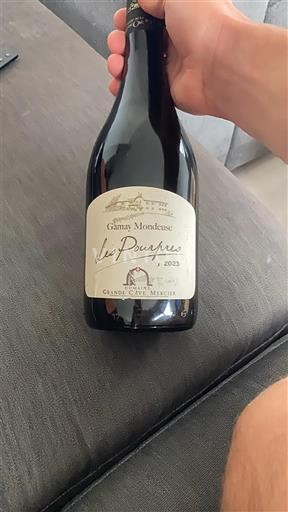 Burgundsko Mâcon a mâconské vesnice Grande Cave Mancey Les Pourpres 2023