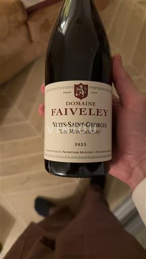 Borgogna Nuits-Saint-Georges Domaine Faiveley Les Montroziers 2023