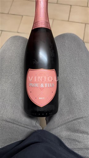 Vallée de la Loire Crémant-de-loire Plou & Fils Non Millésimé