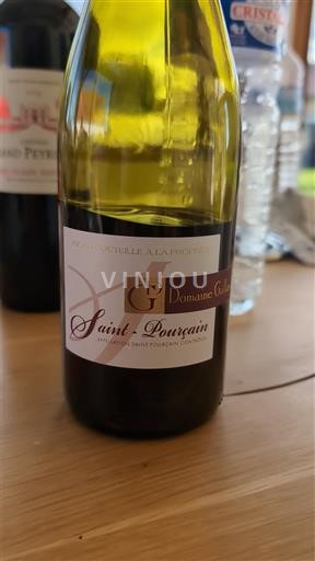 Dolina Loare Saint-Pourçain Domaine Gallas Neleten.