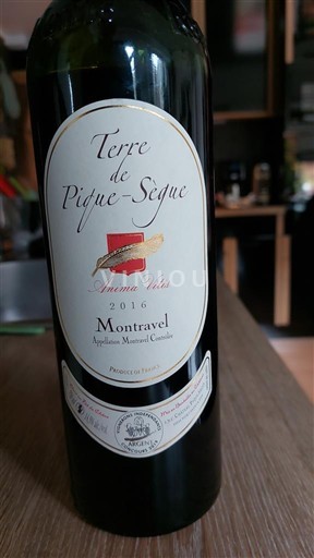 Jihozápad Montravel Terre de Pique-Sègue Ancien Vitis 2016
