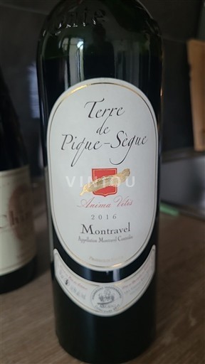 Jihozápad Montravel Terre de Pique-Sègue Anima Vitis 2016