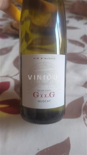 Alsace Muscat Domaine Gilg 2023