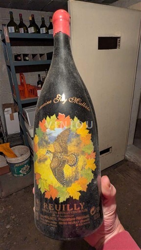 Loiredalen Reuilly EARL Guy Malbete Icke årgångsbetecknad