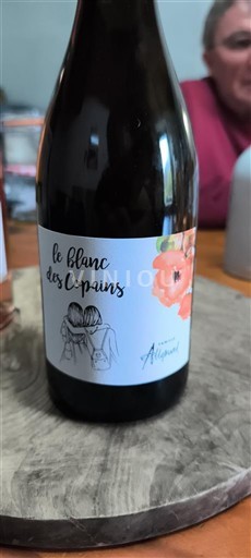 Languedoc y Rosellón País de Oc Domaine Allégret Le Blanc des Copains Sin añada