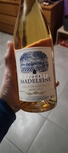 Jugozahod Côtes de Gascogne Madeleine Neleten.