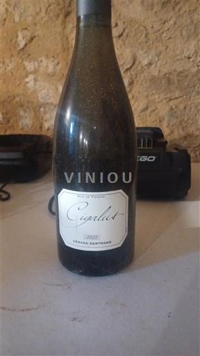 Languedoc Không được chỉ định Gérard Bertrand Cigalus 2021