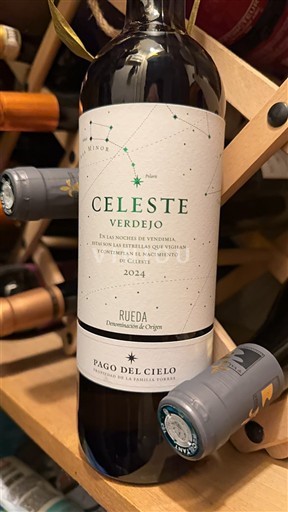 Castilien og León Rueda Pago del Cielo Celeste Verdejo 2024