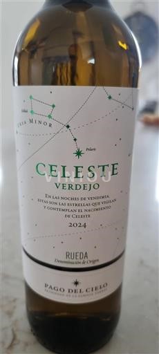 Castilien og León Rueda Pago del Cielo Celeste Verdejo 2024