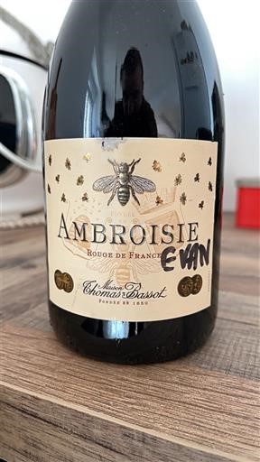 Burgundi Määrittelemätön Thomas Bassot Ambroisie Ei vuosikertaa