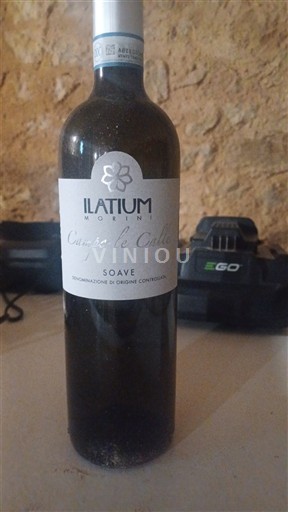 Vêneto Soave Latium Morini Campo le Calle 2020