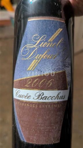 Sydväst Sudvästra Frankrike Lionel Dufour Bacchus 2006