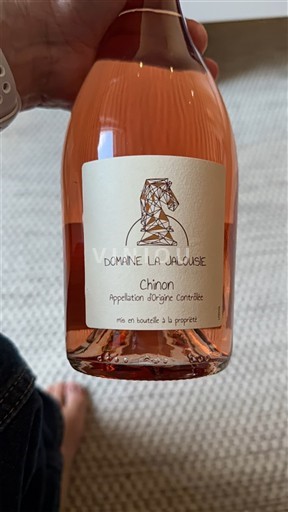 Údolí Loiry Chinon Domaine La Jalousie 2022