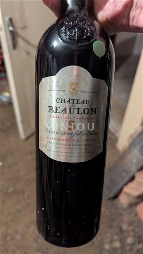 Poitou-Charentes Pineau-des-charentes Château Beaulon 5 ans d'âge en fût de Chêne Non Millésimé