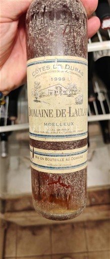 Sud-Ouest Côtes-de-duras Domaine Laulan 1999