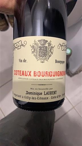Bourgogne Coteaux bourguignons Dominique Laurent Không niên vụ