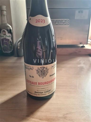 Bourgogne Bourgognebackar Dominique Laurent 2023