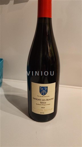 Bourgogne Savigny-lès-beaune Domaine Jean-Marc et Hugues Pavelot 2021