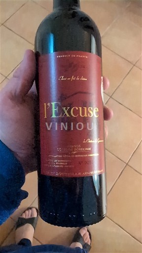 Bordeaux Castillon-côtes-de-bordeaux Château Le Joumes l'Excuse 2016