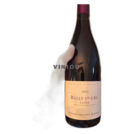 Bourgogne Rully Premier Cru Domaine Antoine Reniaume Cloux 2022