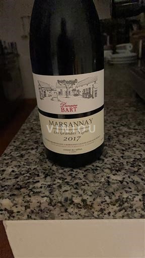 Borgogna Marsannay Domaine Bart Les Grandes Vignes 2017