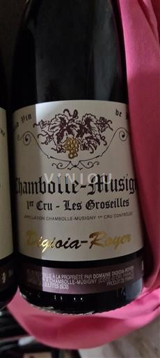Bourgogne Chambolle-Musigny Premier Cru Domaine Digioia-Royer 1er Cru Les Groseilles Icke årgångsbetecknad