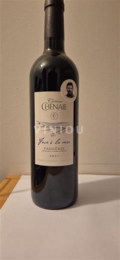 Languedoc Faugères Château Chênaie Face à la mer 2021