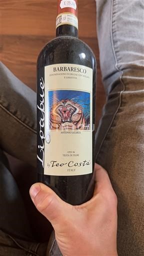 Piemonte Barbaresco Teo Costa Ligabue 2019