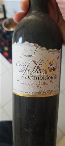 Sudoeste Côtes de Gascogne Les Filles Ambidoure des Filles 2005