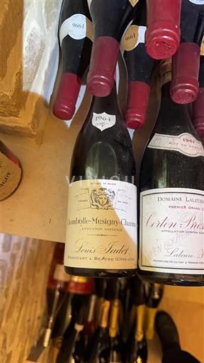 Borgoña Chambolle-Musigny Louis Jadot 1964