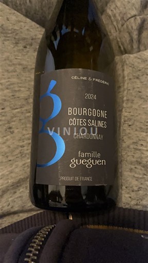 Bourgogne Famille Gueguen Côtes Salines 2024