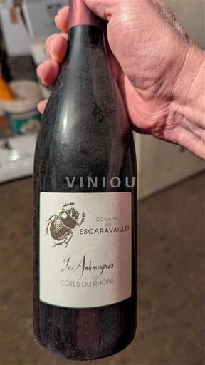 Rhône Valley Côtes-du-Rhône Domaine Des Escaravailles Les Antimagnes 2011