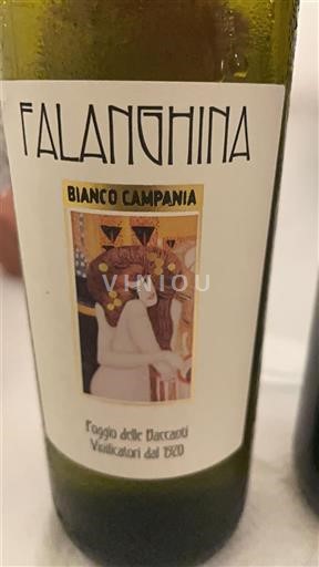 Campânia Falanghina do Sannio Faggio delle Baccanti Não Sazonado