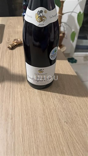 Bourgogne Mâcon og mâcon-landsbyer La Burgondie 2020