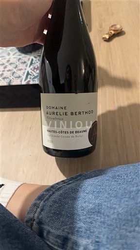 Borgogna Hautes Côtes de Beaune Domaine Aurélie Berthod Grande Corvée de Bissy 2022