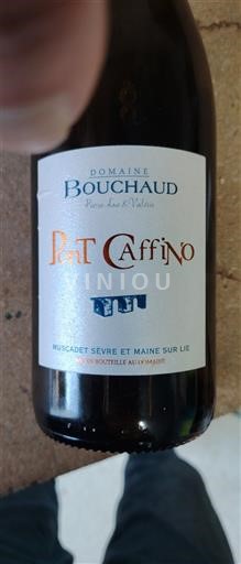 Loire-dalen Ikke specificeret Domaine Bouchaud Pat Caffino 2021
