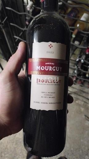 Sudoeste Irouléguy Domaine Mourguy 2022