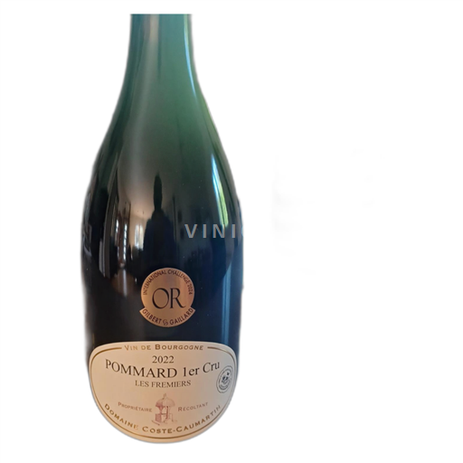 Burgundi Määrittelemätön Domaine Coste-Caumartin Les Fremiers 2022