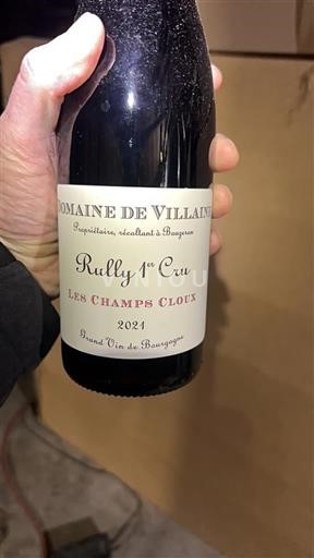 Bourgogne Ikke specificeret Premier Cru Domaine Villaine Les Champs Cloux 2021