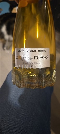 Languedoc-Roussillon Pays d'Oc Gérard Bertrand Côte des Roses Chardonnay 2019