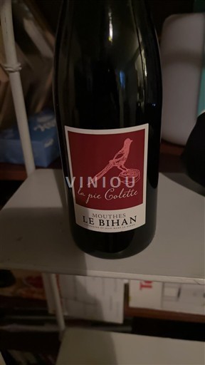 Sud-Ouest Côtes-de-duras AOC Mouthès Le Bihan La Pie Colette 2021