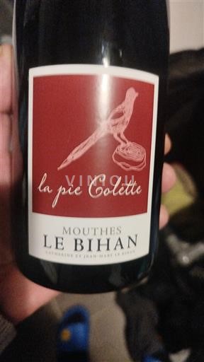 Tây Nam Côtes-de-duras AOC Mouthès Le Bihan La Pie Colette 2021