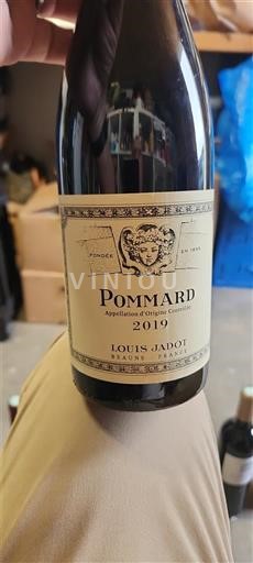 Burgundi Pommard Louis Jadot 2019