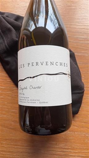 Wijnen Blanc sec Seyval Chardo' Les Pervenches 2024 Canada Quebec Niet gespecificeerd