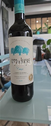 Aragonien Campo de Borja Coto de Hayas Crianza 2021