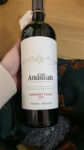 Mendoza Andillian 2023